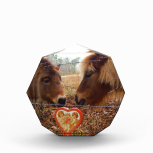 Miniature Donkey & Horse Valentine Heart Award