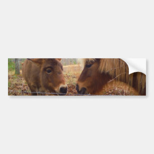 Miniature Donkey & Horse Valentine Heart Bumper Sticker