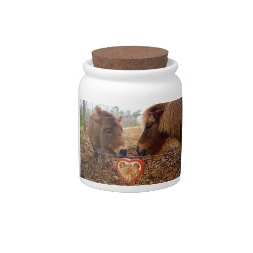 Miniature Donkey  Horse Valentine Heart Candy Jar