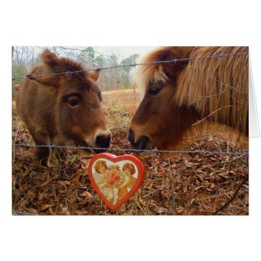 Miniature Donkey & Horse Valentine Heart Cards (Front Horizontal)