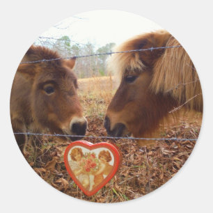 Miniature Donkey & Horse Valentine Heart Classic Round Sticker
