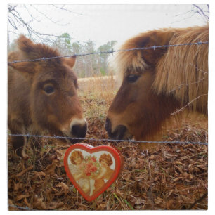 Miniature Donkey & Horse Valentine Heart Cloth Napkin