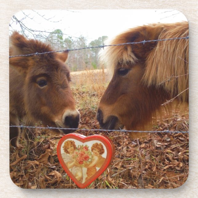 Miniature Donkey & Horse Valentine Heart Coaster (Front)