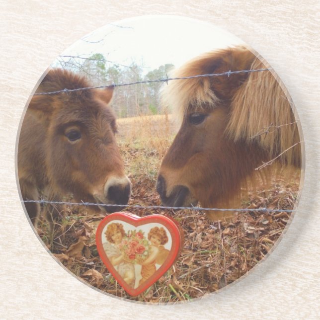 Miniature Donkey & Horse Valentine Heart Drink Coaster (Front)