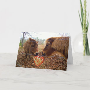 Miniature Donkey & Horse Valentine Heart Holiday Card