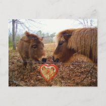 Miniature Donkey & Horse Valentine Heart Holiday Postcard