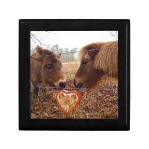 Miniature Donkey & Horse Valentine Heart Jewelry Box