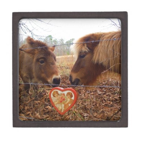 Miniature Donkey  Horse Valentine Heart Keepsake Box