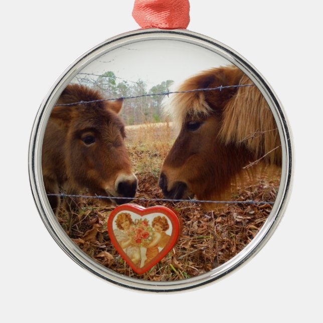 Miniature Donkey & Horse Valentine Heart Metal Ornament (Front)