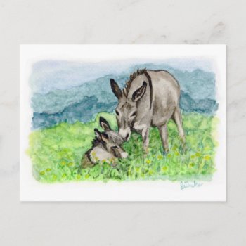 Miniature Donkey Mom And Baby Watercolor Art Postcard by PaintingPony at Zazzle