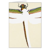 Miniature Dragonfly on White Background (Front)