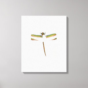 Miniature Dragonfly on White Background Canvas Print