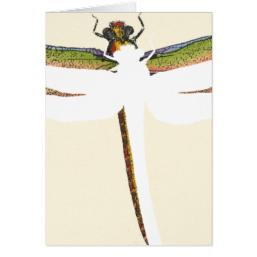 Miniature Dragonfly on White Background Cards (Front)