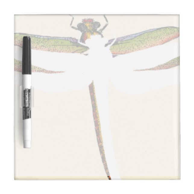 Miniature Dragonfly on White Background Dry Erase Board (Front)
