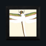 Miniature Dragonfly on White Background Jewelry Box<br><div class="desc">A single miniature dragonfly is the focus of this piece by Vision Studio. Is the dragonfly buzzing by? Or is it pinned to an entomologist’s board, waiting to be studied? A thought provoking print. Be sure to buy yours now!</div>