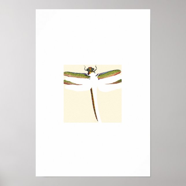 Miniature Dragonfly on White Background Poster (Front)