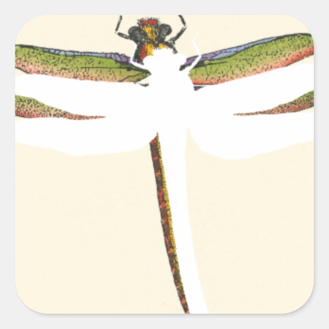 Miniature Dragonfly on White Background Square Sticker (Front)