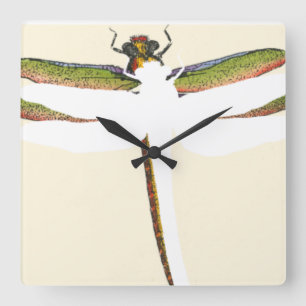 Miniature Dragonfly on White Background Square Wall Clock