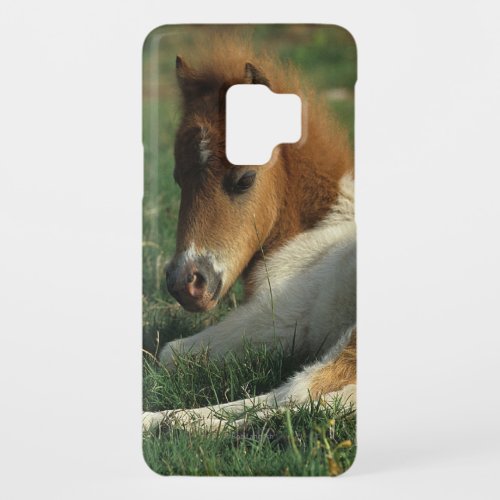 Miniature Foal Laying Down Case_Mate Samsung Galaxy S9 Case