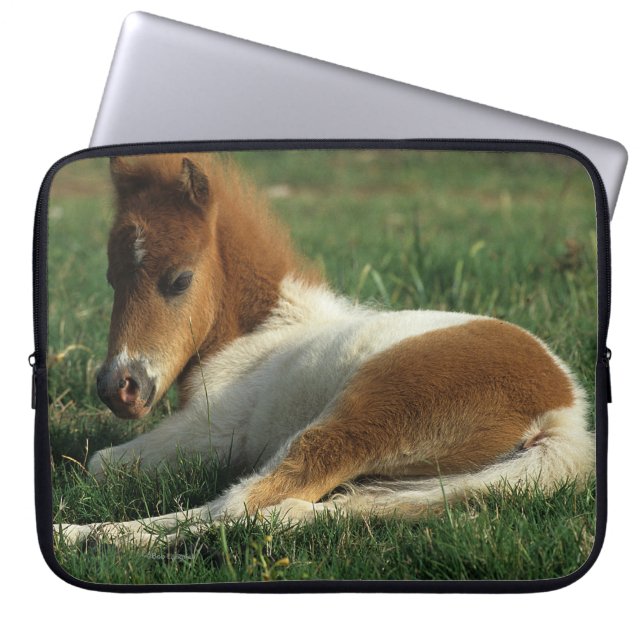 Miniature Foal Laying Down Laptop Sleeve (Front)