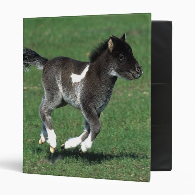 Miniature Foal Running 3 Ring Binder (Front/Inside)