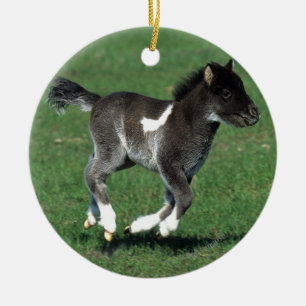 Miniature Foal Running Ceramic Ornament