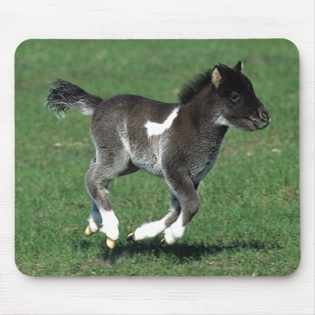 Miniature Foal Running Mouse Pad (Front)