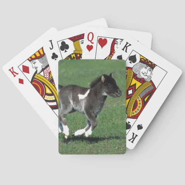 Miniature Foal Running Poker Cards (Back)