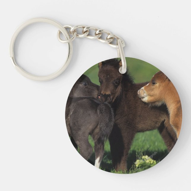 Miniature Foals 1 Keychain (Front)