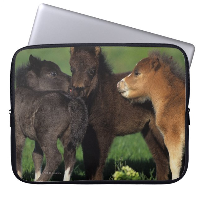 Miniature Foals 1 Laptop Sleeve (Front)