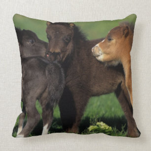 Miniature Foals 1 Throw Pillow