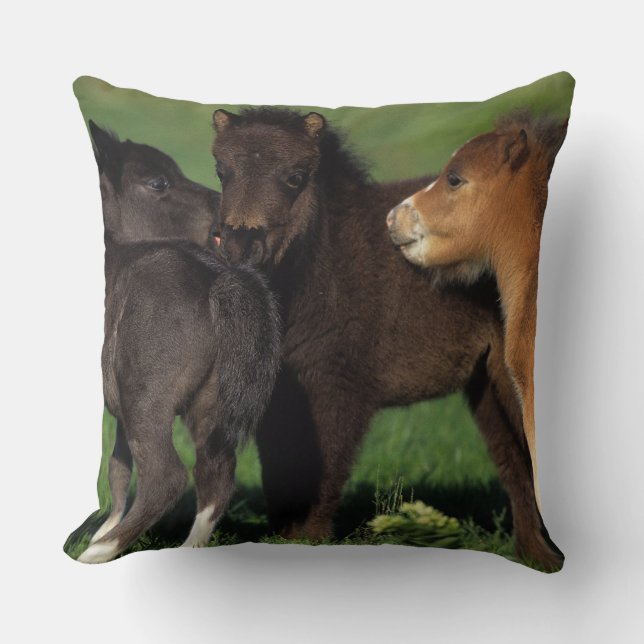 Miniature Foals 1 Throw Pillow (Front)