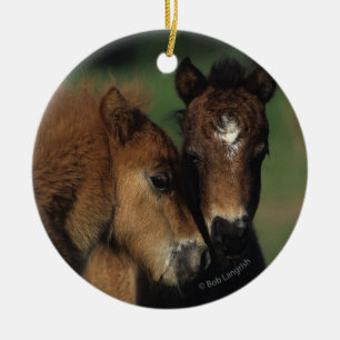 Miniature Foals 2 Ceramic Ornament