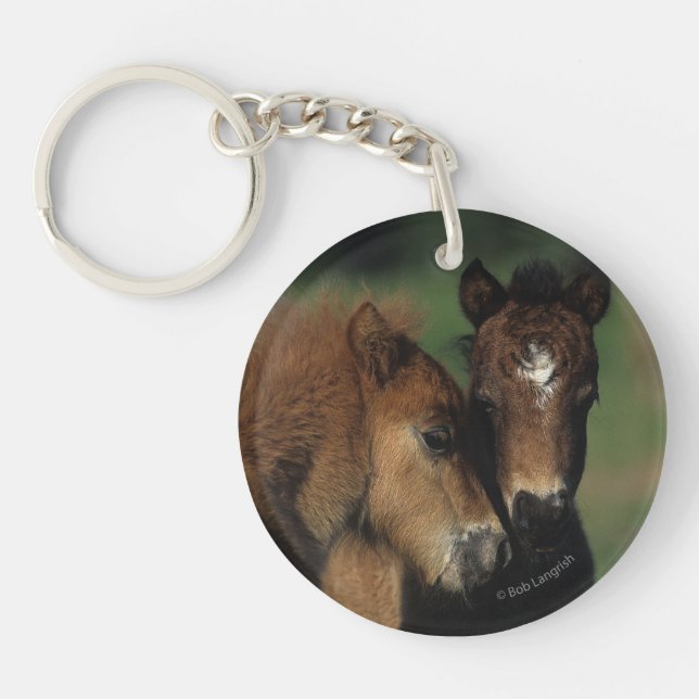 Miniature Foals 2 Keychain (Front)