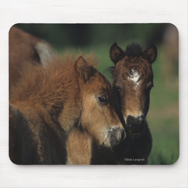 Miniature Foals 2 Mouse Pad (Front)