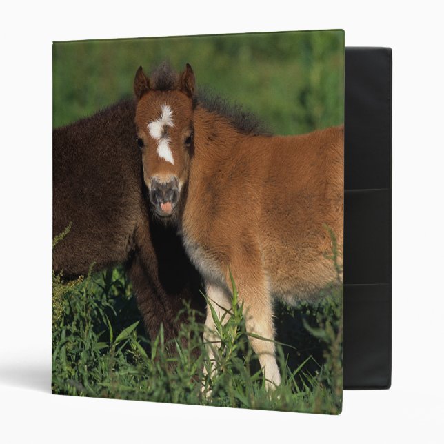Miniature Foals in Grass Binder (Front/Inside)