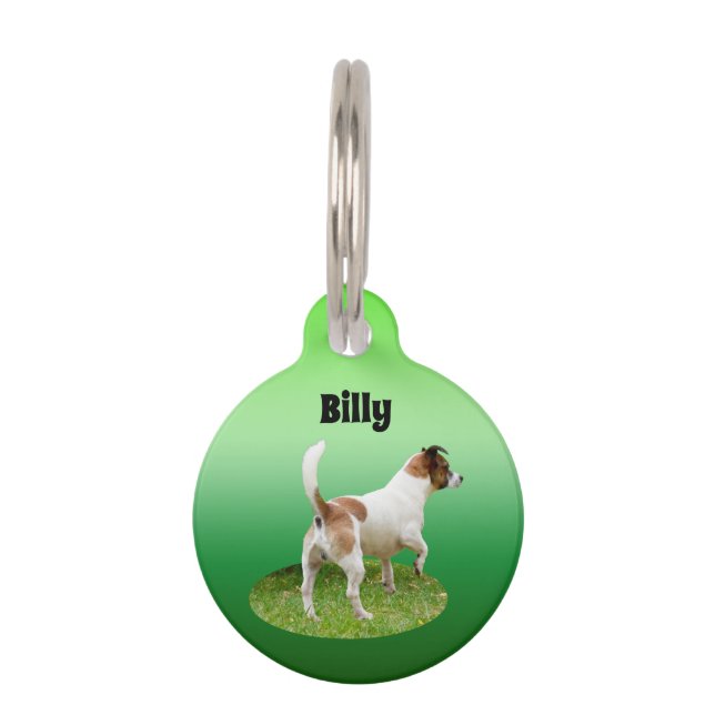 Miniature Fox Terrier Alert,  Pet Tag (Front)