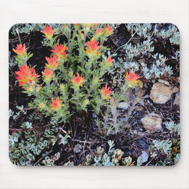 Miniature Garden at Gem Lake Mouse Pad (Front)