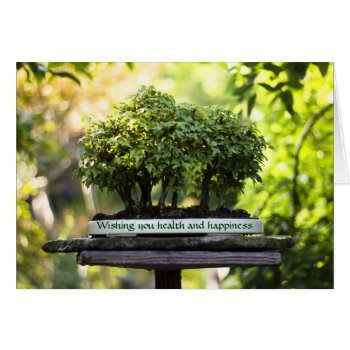 Miniature Green Forest Bonsai Pot Pedestal Leaves by BeverlyClaire at Zazzle