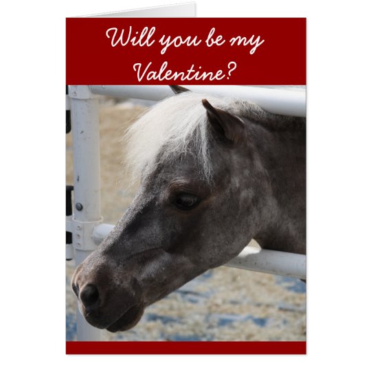 Miniature horse greeting card