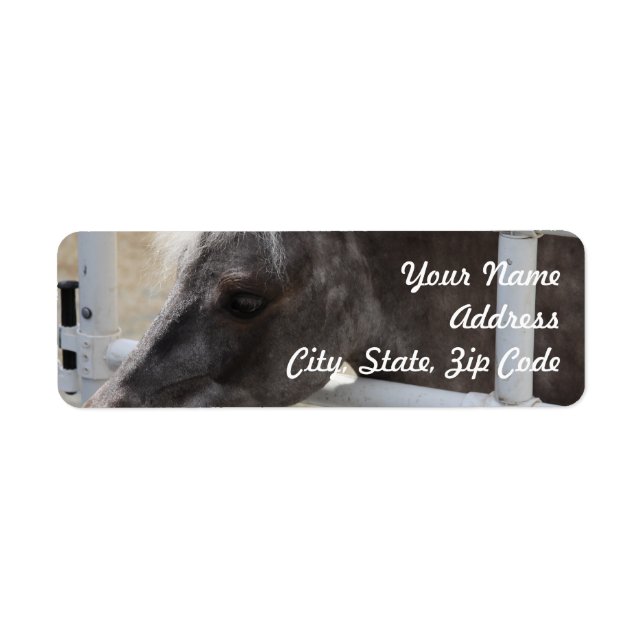Miniature Horse Label (Front)