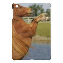 Miniature Horse Rearing iPad Mini Cover