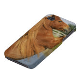 Miniature Horse Rearing iPhone Case (Bottom)