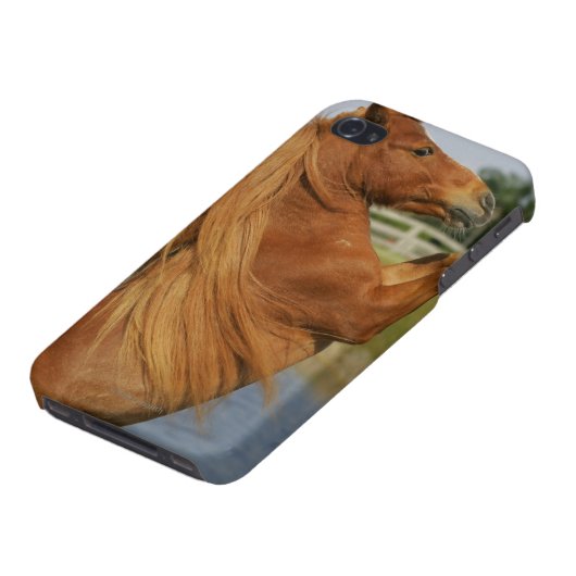 Miniature Horse Rearing iPhone Case (Bottom)