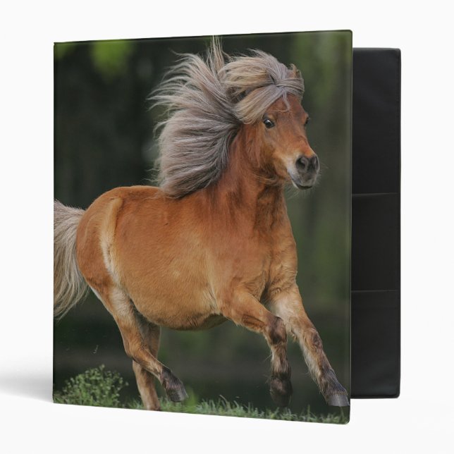 Miniature Horse Running Binder (Front/Inside)