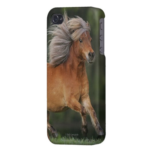 Miniature Horse Running iPhone Case (Back Left)