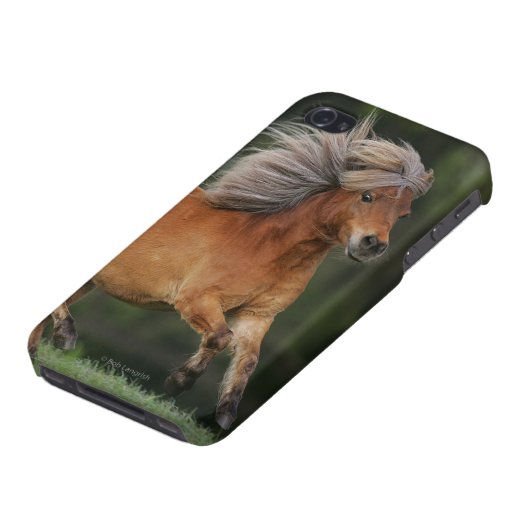 Miniature Horse Running iPhone Case (Bottom)