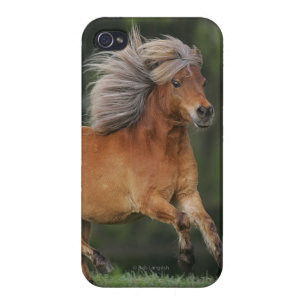 Miniature Horse Running iPhone 4 Cover