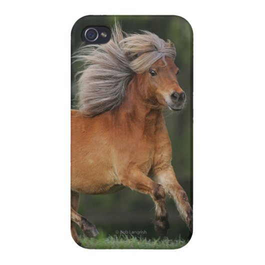 Miniature Horse Running iPhone Case (Back)