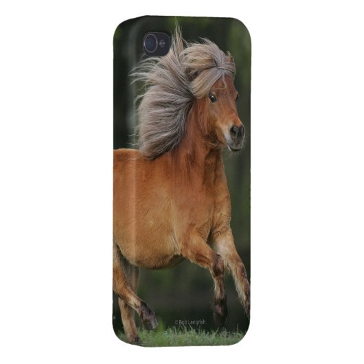 Miniature Horse Running iPhone Case (Back Right)